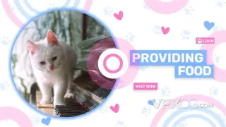 医生救助可爱动物时尚宠物诊所创意宣传片AE模板