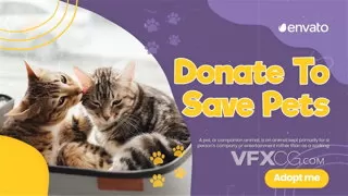 猫狗动物可爱宠物收容护理诊所宣传片AE模板