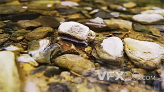 清澈的溪水石头夏季自然风光