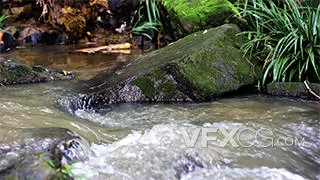 实拍升格清凉夏日溪流河流水流视频素材