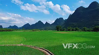 夏季田间农民农耕种植稻田风光航拍视频素材