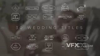 温馨婚礼现代浪漫文本标题动画视频字幕AE模板