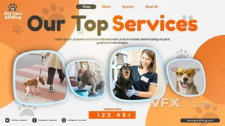 可爱宠物动物介绍医疗诊所健康救助现代活力宣传片PR模板