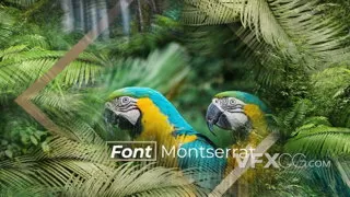 大自然热带雨林绿色文本图片动画创意展示宣传片AE模板
