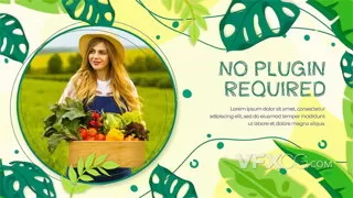 农业生态自然绿色产品经济商品市场文化宣传片AE模板