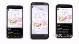 浪漫温馨标题展示婚礼活动庆典媒体短视频AE模板