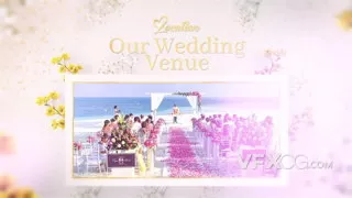 光滑优雅温馨明亮时尚手绘卡通元素婚礼开场视频AE模板